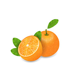 Image showing Photo Realistic Set Orange Fruits