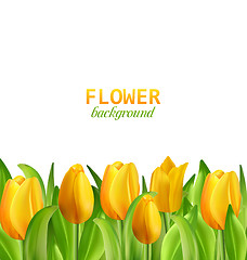 Image showing Beautiful Yellow Flowers Tulips Isolated