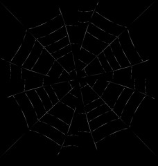 Image showing Trap Spider Web