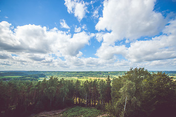 Image showing Forest scenery with white clouds