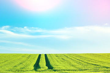 Image showing Rural countryside landscape with blue sky