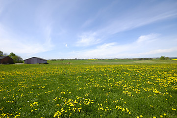 Image showing Landscape with farm in the background