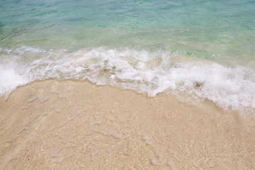 Image showing Tropical beach at the Ocean