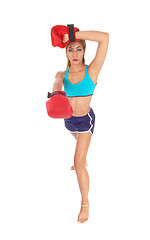 Image showing Boxing woman sweating.