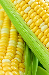 Image showing Corn close up