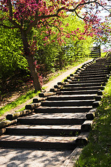 Image showing Wooden stairway in a park