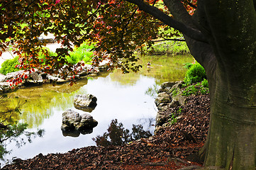 Image showing Pond in zen garden