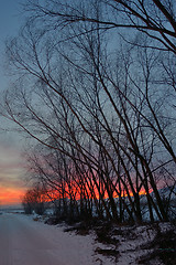 Image showing sunset with tree shadow