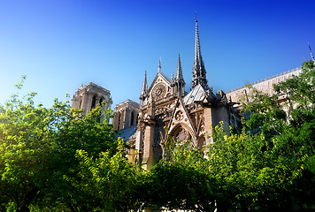 Image showing Cathedral among trees