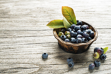 Image showing Blueberries 