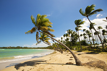 Image showing Beach