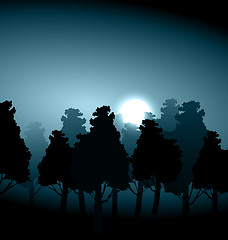 Image showing Valley middle forest in moonlight fog