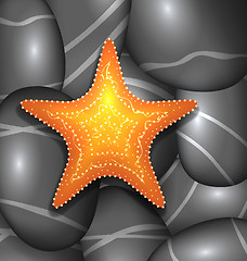 Image showing Orange starfish among sea pebble stones