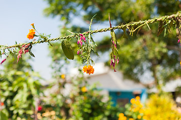 Image showing Flower and grass garlands for Tihar in Nepal