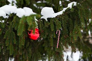 Image showing candy cane and christmas ball on fir tree branch