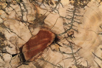 Image showing unknown abstract mineral texture