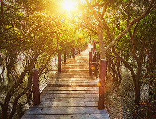 Image showing Wooden bridge in flooded rain forest jungle of mangrove trees