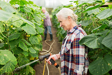 Image showing senior couple with garden hose at farm greenhouse