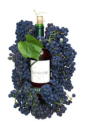 Image showing Dark grape and wine