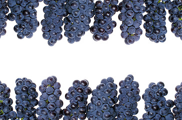 Image showing Frame grape