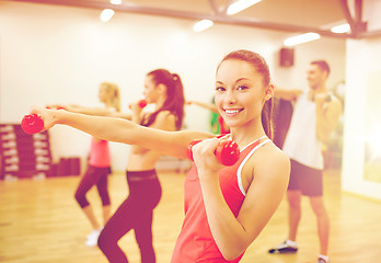 Image showing group of people working out with dumbbells