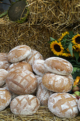 Image showing Round countru bread