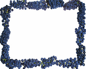 Image showing Frame grape