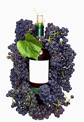 Image showing Dark grape and wine