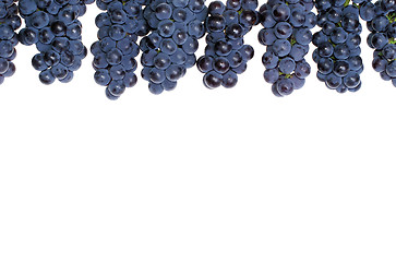 Image showing Frame grape