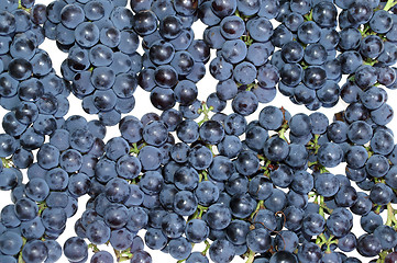 Image showing Grape