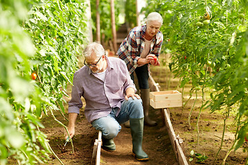 Image showing senior couple working at farm greenhouse