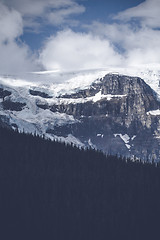 Image showing Pine tree forest below a large mountain