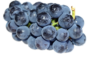 Image showing Close-up grape