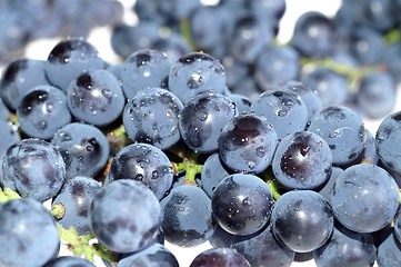 Image showing Close-up grape