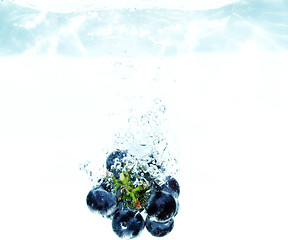 Image showing Splash grape