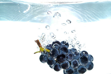 Image showing Splash grape
