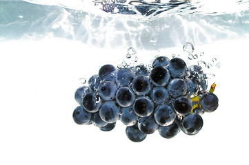 Image showing Splash grape