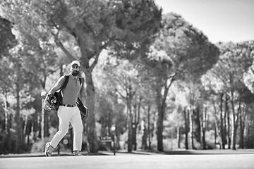 Image showing handsome middle eastern golf player at the course