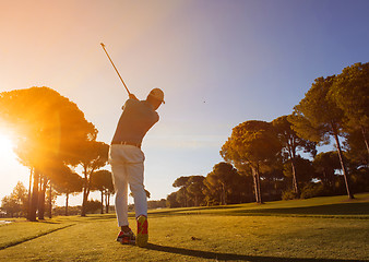 Image showing golf player hitting shot with club