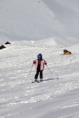 Image showing Little skier and dog on ski slope at sun winter day