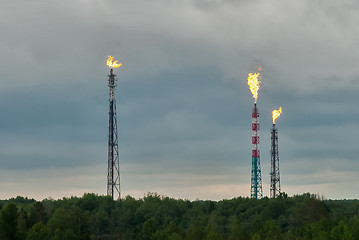 Image showing Torches for burning of associated gas of oil plant