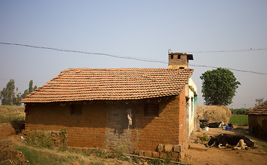 Image showing Poor Indian household (farm) 6. Andhra Pradesh, Anantapur