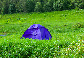 Image showing Blue tent set in meadow, at woodside