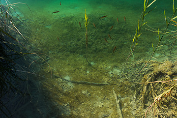 Image showing Plitvice Lakes, Croatia