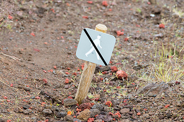 Image showing Forbidden to walk over here - Iceland