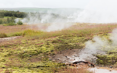 Image showing Geothermally active valley of Haukadalur