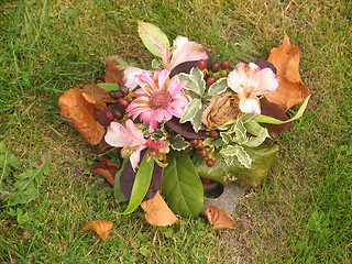 Image showing Autumn flowers