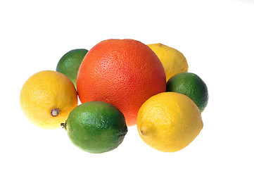 Image showing Citrus fruits