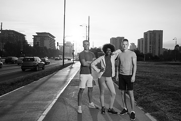 Image showing portrait multiethnic group of people on the jogging