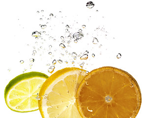 Image showing Splasing citrus